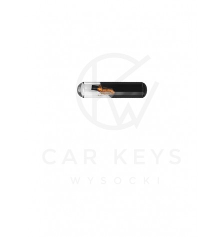 TRANSPONDER 48 CAN AUDI