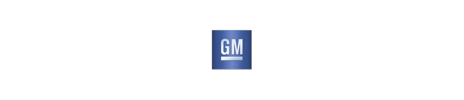 GM