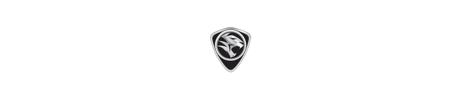 Proton