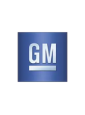 GM