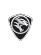 Proton
